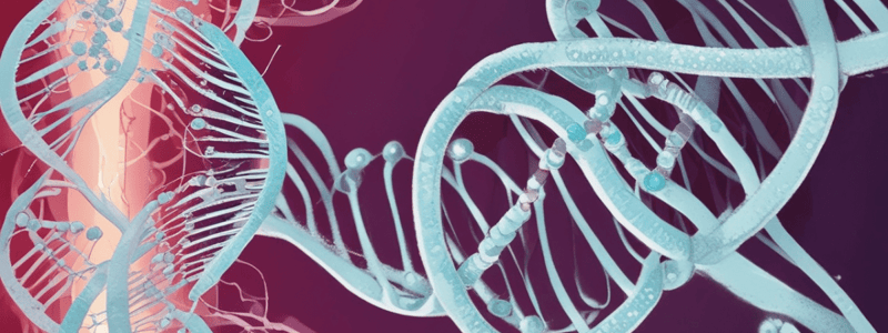 E. Coli RNA Polymerase and Promoters