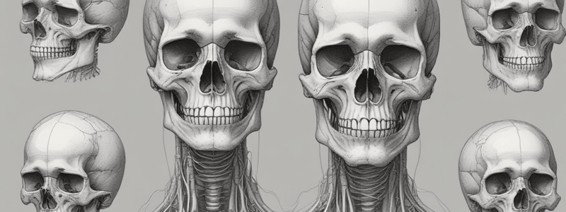 Features of the Falx Cerebri