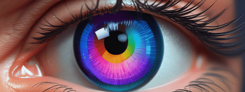 Basics of Optics & Optical Elements Quiz