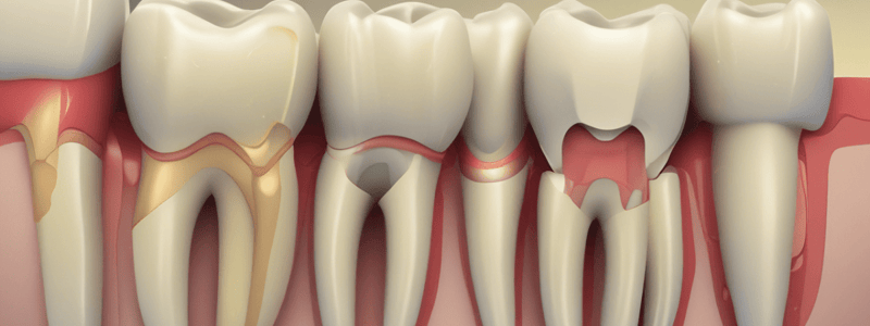 Endodontic Treatment Preparation