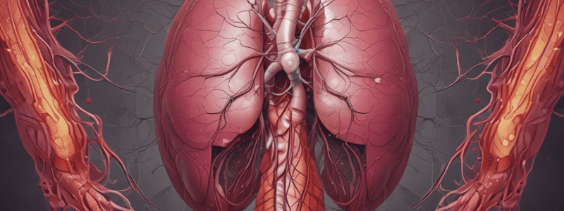 Anatomía Quirúrgica del Hígado