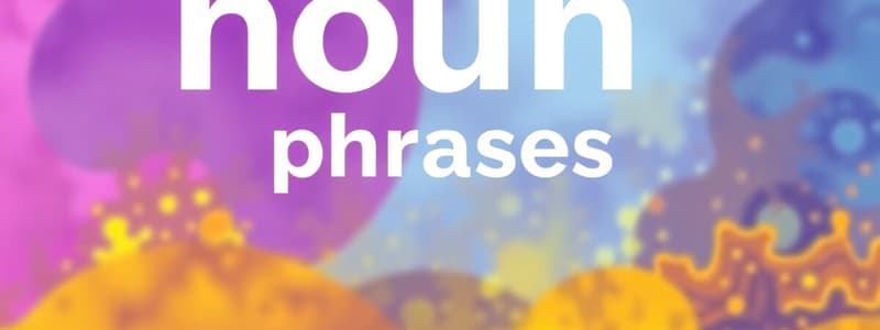 The Noun Phrase