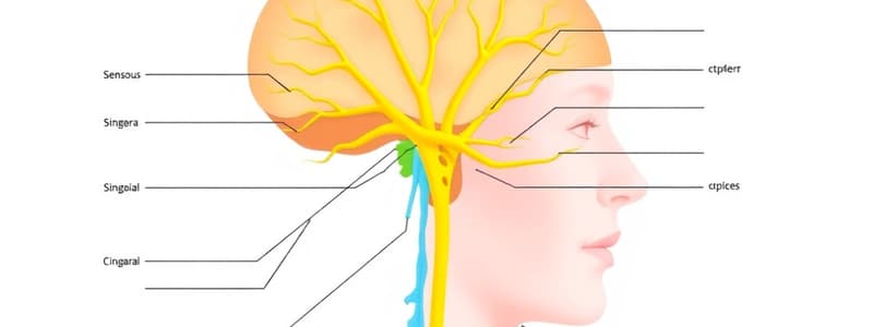 Cranial Nerves and Receptor Classification