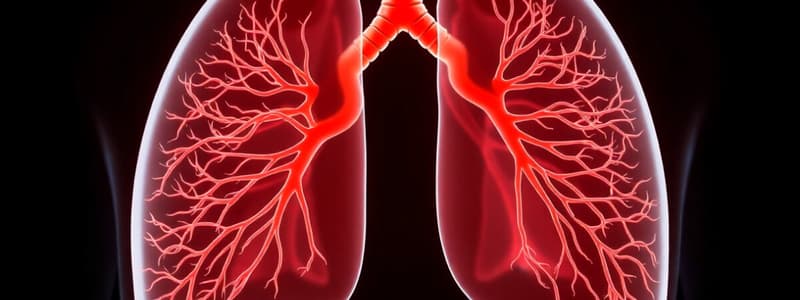 Pulmonary System Structures and Circulation