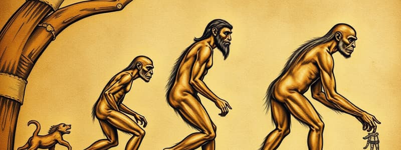 Introduction to Human Evolution