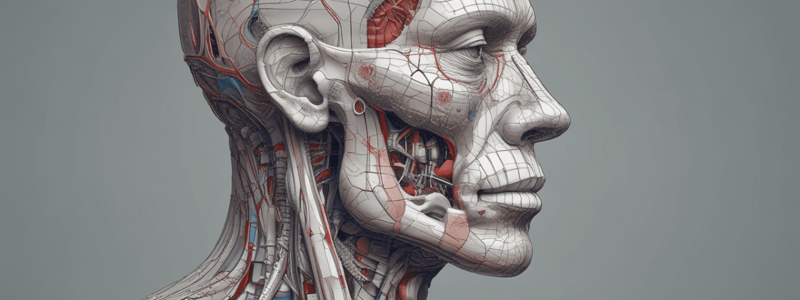 Respiratory AP and Vent Modes