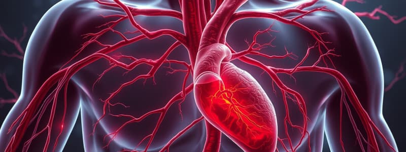 Arteries and Blood Flow Regulation