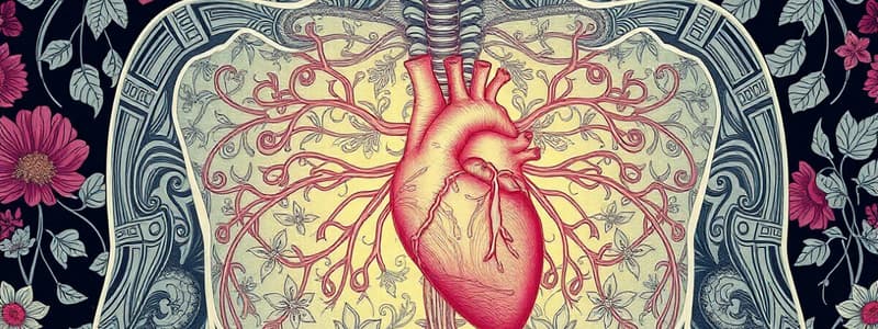 Thoracic Autonomics Quiz