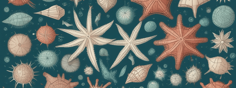 Understanding Echinoderms