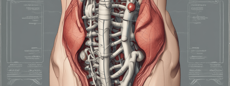 Pelvic Girdle Movement in Labour