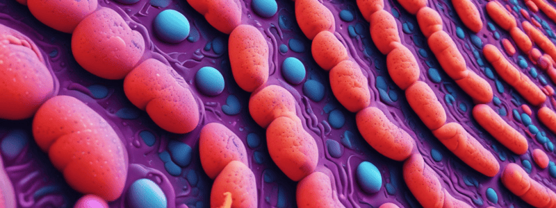 Membrane Transport