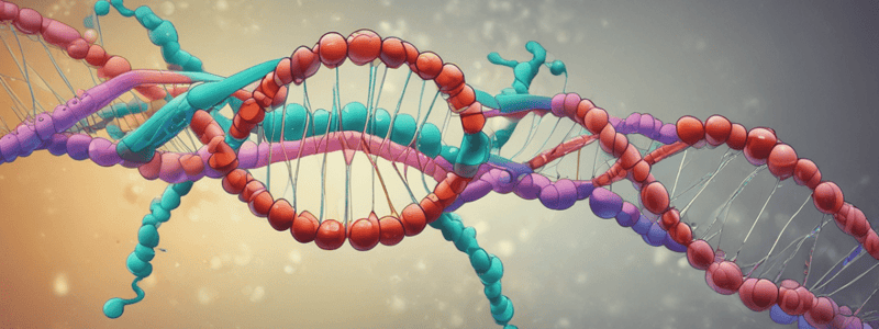 RNA Structure and Types