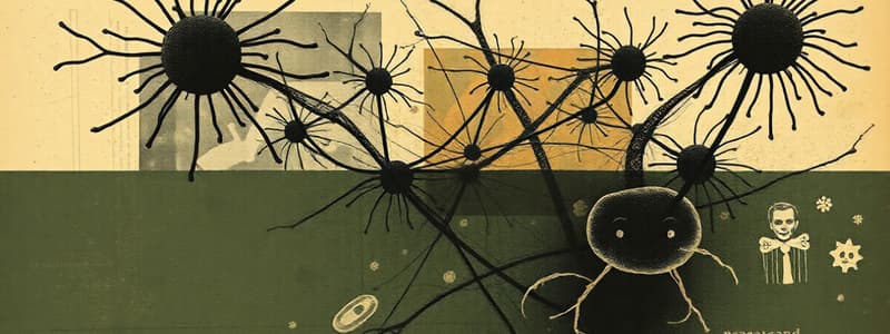 Neurociencia: Células y Sinapsis