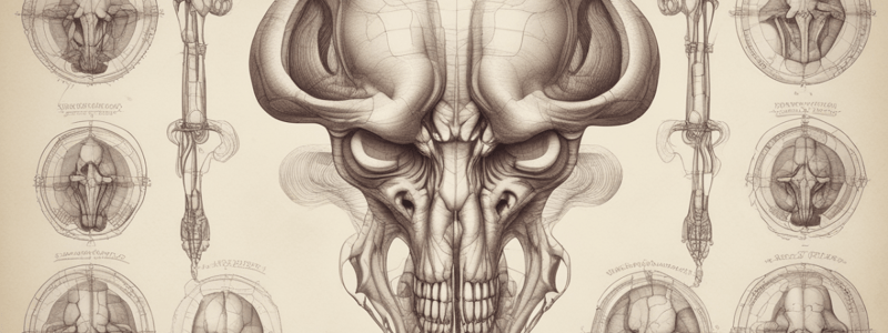 FEMALE REPRODUCTIVE SYSTEM