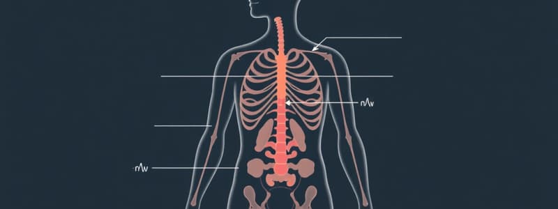 Endocrine System Overview Quiz