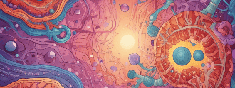 Characteristics of Epithelial Cells