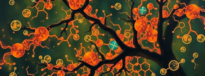 Biochemistry: Enzymes and Metabolic Reactions