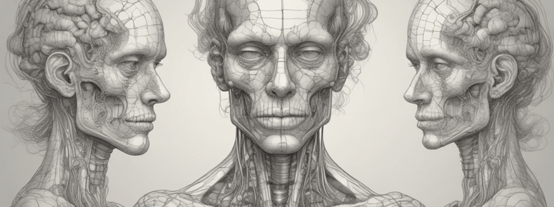 Neuroanatomy: Central Nervous System Structure