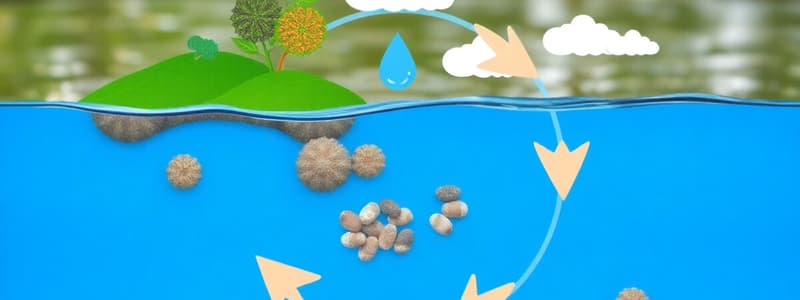 Ecological Cycles & Nutrient Recycling