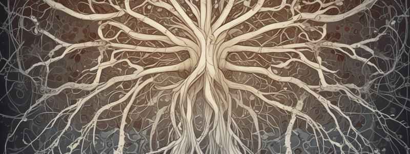 Neuron Doctrine and Levels of Analysis