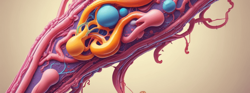 Understanding the Function of the Glomerulus in the Nephron