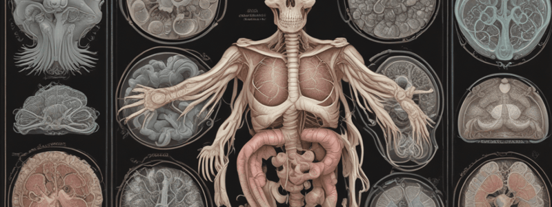 Respiratory Systems in Animals