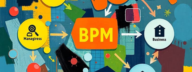 BPM - Managementul Proceselor de Business