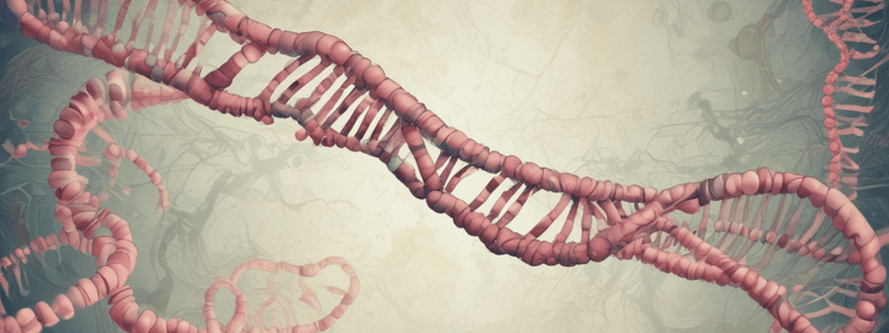 Chromosomal Abnormalities and Causes