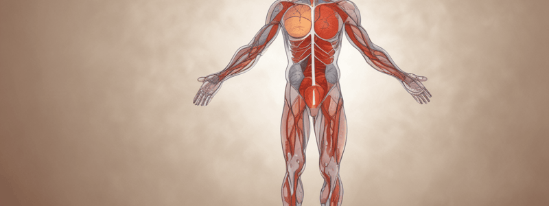 EHR519 Week 1 Lecture 2A: Cardiovascular System