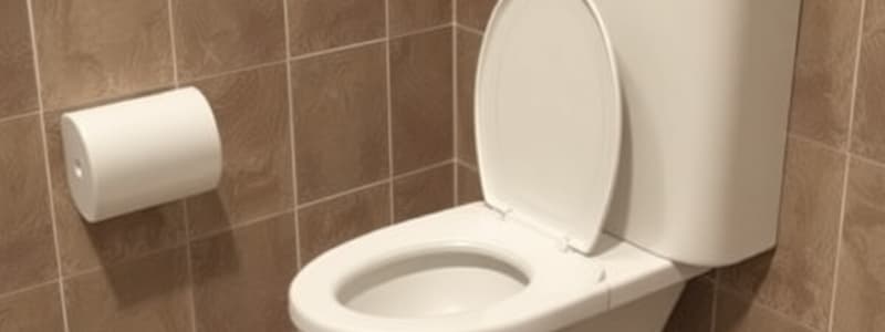 Skibidi Toilet Variate Quiz