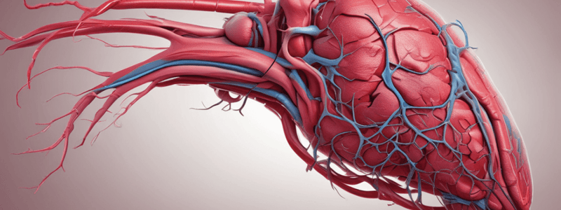 Liver Anatomy and Function Quiz