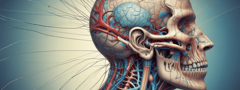 SAQ -Cranial Nerves: Structure, Function, and Disorders