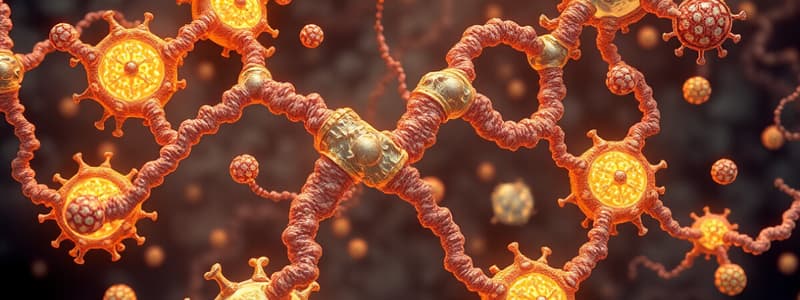 Chapter 5: Enzymes and Their Functions