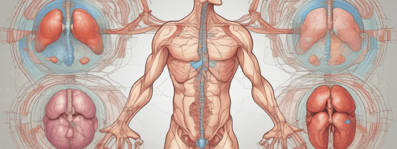 Hormoner og endokrinologiske system