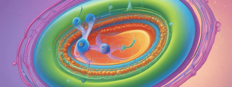 (6-7) Vesicle Transport