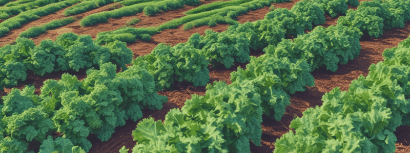 Types of Crops and Kale Farming