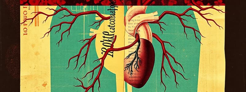 Cardiovascular System - Lecture 11