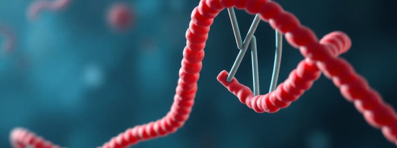 Gene Expression and Transcription Overview