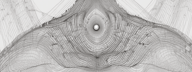 Discrete Uniform Distribution: Mean, Variance, Moment Generating Functions