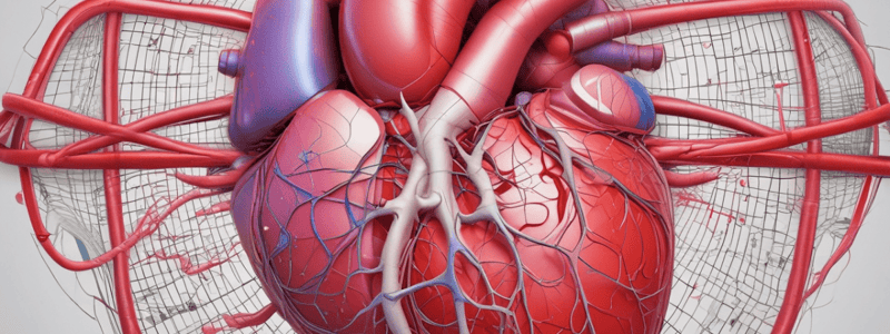 Understanding the Cardiac Cycle