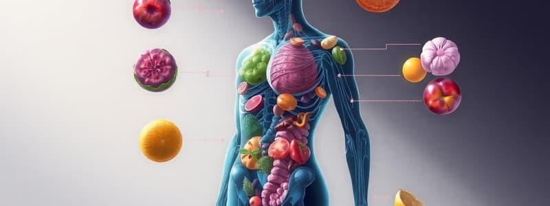 Nutrición y Metabolismo: Conceptos Clave