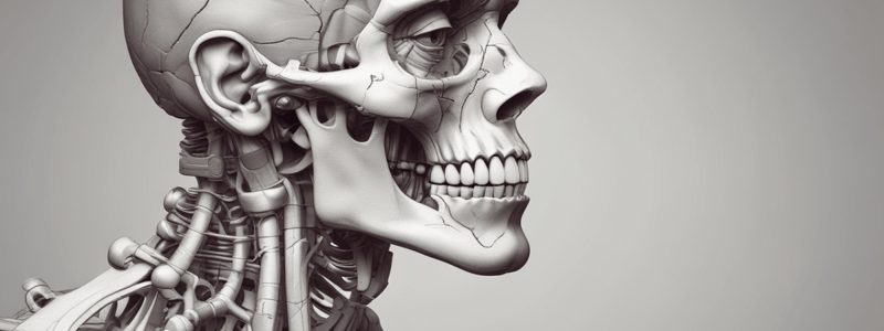 Human Anatomy: Joints and Articulations