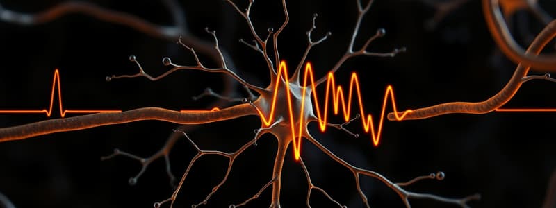 Neuroscience: Resting Potential Overview