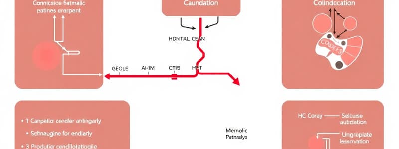 Glycolysis and Gluconeogenesis Overview