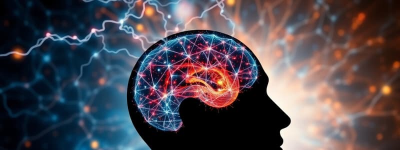 Altered Consciousness and Epilepsy Overview