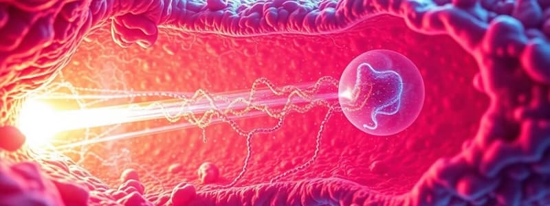 Cell Biology: Endoplasmic Reticulum Overview