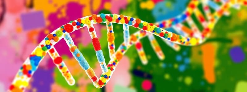 DNA Structure and Nucleotides Quiz