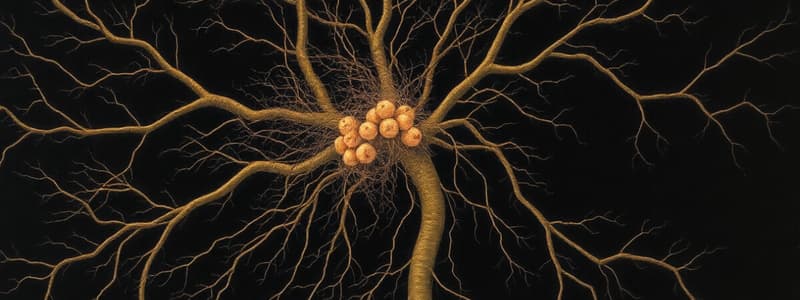 Nervous System Functions and Neurons