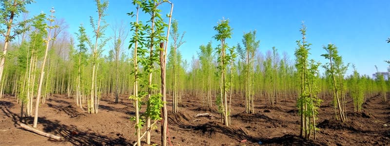 Cuestionario sobre reforestación y plantación