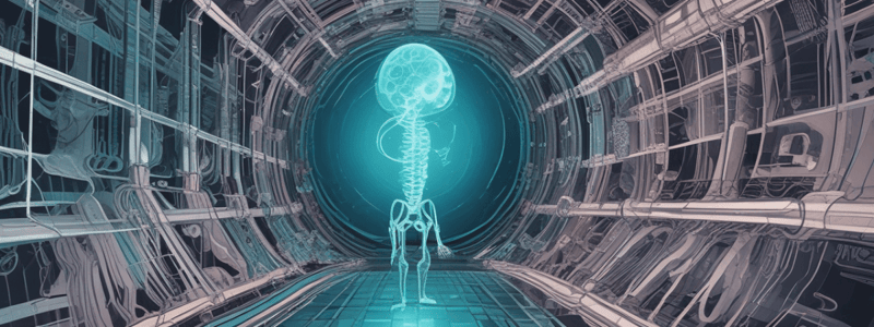 X-ray Attenuation Mechanisms